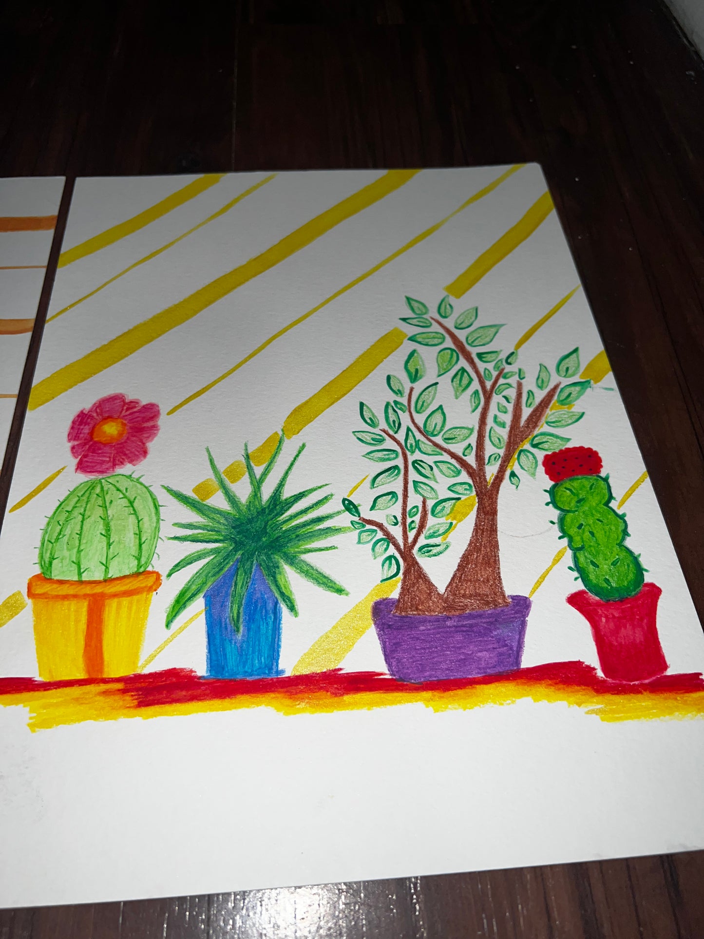 Cacti Trio (2021)